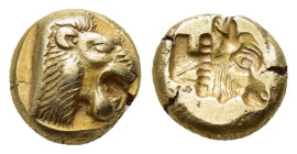 LESBOS.Mytilene.(Circa 521-478 BC). EL Hekte.

Obv : Head of roaring lion right.

Rev : Incuse head of cow right.
Bodenstedt Em. 13 ; SNG Copenha...