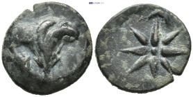 PONTUS.Amisos.(130-100 BC).Ae. (20mm, 7.4 g) Obv : Rose bud. Rev : Star between two crescents.