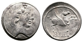 Q. Titius. Celtic Imitation AR Denarius ( 19mm, 3,81 g.) 1st. Century BC. Wreathed head of Bacchus right. Rev. Q TITI. Pegasus leaping right. (prototy...