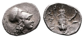 Lucania, Metapontion, AR Diobol (12 mm, 1,21 g.). Head of Athena right, wearing Corinthian helmet. Rev. META Ear of barley; in right field, cornucopia...