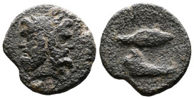 Sicily, Panormos or Lilybaion. Struck under Roman rule, after 241 BC. AE (23 mm, 6,20 g.). Laureate head of Janus. Rev. Spearhead above; jawbone of bo...