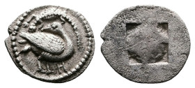 Macedon, Eion, circa 460-400 BC. AR Trihemiobol (12,5 mm, 0,81 g.). Goose standing right, head to left; above, lizard left; below, H. Rev. Quadriparti...