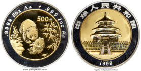 People's Republic bi-metallic gold & silver Proof "Panda" 500 Yuan 1996 PR68 Deep Cameo PCGS, KM897, PAN-261A. An important and coveted selection from...