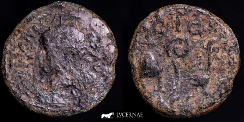 Roman Hispania - Acci. Time of Tiberius. Bronze semis (6,68 g., 22 mm.) 14-36 BC...