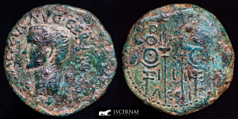 Roman Empire - Caligula 37- 41 A.D. bronze As (10.27 g., 27 mm.) minted in Acci ...