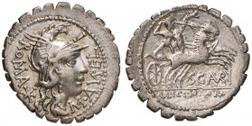 Aurelia - M. Aurelius Scaurus - Denario (118 a.C.) Testa di Roma a d. - R/ Bituito su biga a d. - B. 20; Cr. 282/1 AG (g 3,89) Minimo graffietto al D/...