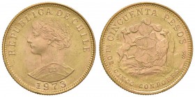 CILE 50 Pesos 1973 - AU (g 10,17)

SPL+/FDC