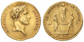 MEDAGLIE NAPOLEONICHE Medaglia A. XIII - AU (g 2,15 - Ø 19 mm) Difetti del tondello

SPL+
