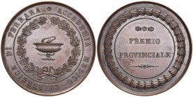 Ferrara - Medaglia premio dell’Accademia medico-chirurgica di Ferrara - Opus: Cerbara AE (g 130,13 - Ø 66 mm) 

FDC