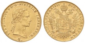 MILANO Francesco I (1815-1835) Mezza sovrana 1835 - MIR 503 AU (g 5,66) Minimo graffietto al D/ 

SPL/SPL+