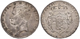 NAPOLI Giuseppe Napoleone (1806-1808) Piastra 1808 - Magliocca 404 AG (g 27,62) Esemplare di qualità superiore 

SPL+/qFDC