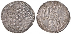 Pio IV (1559-1565) Ancona - Giulio - Munt. 58 AG (g 3,12) 

qSPL