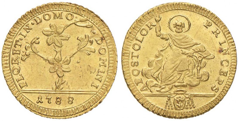 Pio VI (1774-1799) Doppia 1788 - Munt. 5a AU (g 5,46) Una leggera abrasione lung...