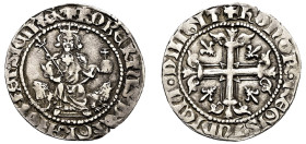 Italy, Kingdom of Naples, Robert d' Anjou, 1309-1343. AR Gigliato, 3.62g, 25mm (Biaggi 1634; MIR 28).

Toned, very fine.