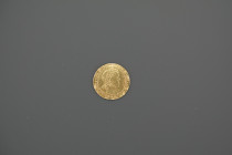LOUIS XIV
Demi louis aux huit L, portrait à la mèche courte
A/ LVD XIIII DG FR ET NAV REX
R/ CHRS REGN VINC IMP
1644 D * pour le second semestre
Or
Mo...