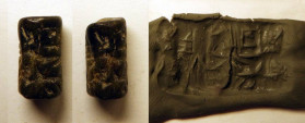 Perle cylindre en pierre noire représentant une scène cultuelle 
Premiers millénaires av JC
Hauteur : 2 cm

Expert : Hervé Naudy