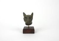 Tête de chat en bronze patiné 
Egypte Basse, 6664-3332 av JC 
Hauteur : 7 cm 

Provenance : ancienne collection parisienne

Expert : Hervé Naudy
