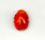 Scarabée sculpté naturaliste
Agate
L : 1,8 cm