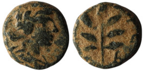 SELEUCIS and PIERIA. Antioch. Pseudo-autonomous issue
AE Bronze (10mm, 1,21g)