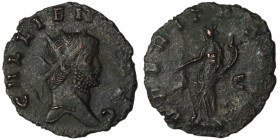 Gallienus (AD 253-268). Rome
Antoninianus (20mm, 1,52g)