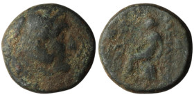 SELEUKID KINGS. Seleukos II Kallinikos (246-225 BC). Sardes mint
AE Bronze (17mm, 4,37g)