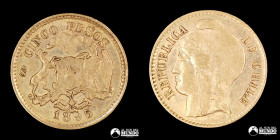 Chile, Santiago. 5 Pesos. 1895. Oro.