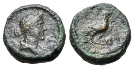 Anonymous. Time of Domitian to Antoninus Pius (81-161). Æ Quadrans (13mm, 2.08g, 6h). Rome. Draped bust of Venus r., wearing stephane. R/ Dove standin...