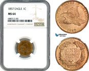 United States, "Eagle" 1 Cent 1857, Philadelphia Mint, KM# 85, NGC MS64