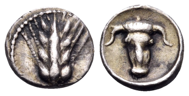 LUCANIA. Metapontum. Circa 440-430 BC. Obol (Silver, 7 mm, 0.41 g, 3 h). Grain e...