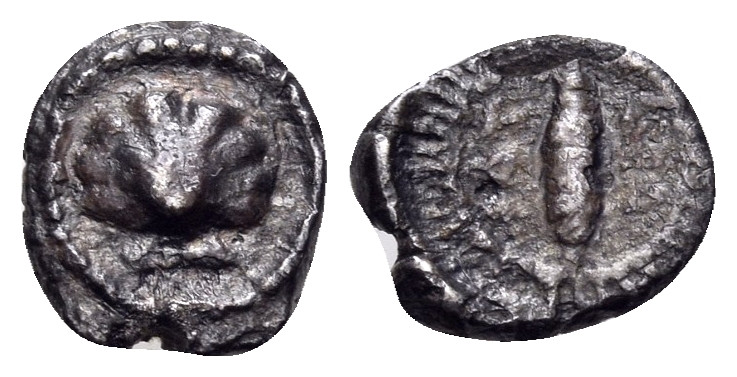 CALABRIA. Tarentum. 500-480 BC. Hemilitron (Silver, 7.5 mm, 0.42 g, 4 h). Cockle...