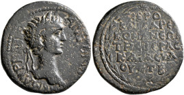 PONTUS. Comana. Caracalla, 198-217. Diassarion (Orichalcum, 24 mm, 7.46 g, 12 h), CY 172 = 205/6. A K M AYPHΛΙ ANTⲰNINO Laureate head of Caracalla to ...