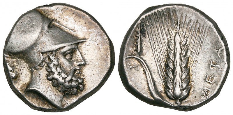 Italy, Lucania, Metapontum, stater, c. 340-330 BC, helmeted head of Leukippos ri...