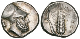 Italy, Lucania, Metapontum, stater, c. 340-330 BC, helmeted head of Leukippos right; lion’s head behind, rev., ear of barley with leaf; to left, club ...