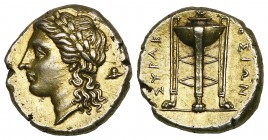 Sicily, Syracuse, Agathokles (317-289 BC), electrum 50 litrai, laureate head of Apollo left; behind, Thessalian helmet, rev., ΣΥΡΑΚ-ΟΣΙΩΝ, tripod, 3.7...