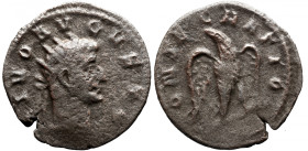 Roman Imperial 
DIVUS AUGUSTUS (Died 14). Antoninianus. Rome. Struck under Trajanus Decius. 
Obv: DIVO AVGVSTO. Radiate head right. 
Rev: CONSECRAT...