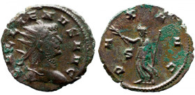 Roman Imperial 
Gallienus (253-268). Antoninianus. Mediolanum, 
Obv: GALLIENVS AVG, radiate head to right 
Ver: PAX AVG, Pax walking to left, holdi...