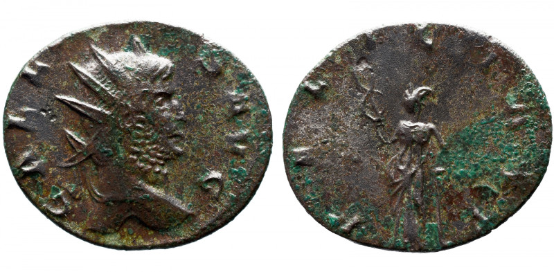 Roman Imperial 
Gallienus, 253-268. Antoninianus, Siscia, 
 GALLIENVS AVG Radi...