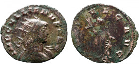 Roman Imperial 
GALLIENUS (253-268). Antoninianus. Rome, 
Obv: GALLIENVS AVG, radiate bust to right, slight drapery on far shoulder 
Rev: INDVLG AV...