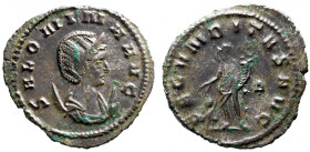 Roman Empire 
Salonina (Augusta 254-268 ) Antoninianus, Rome. 
Obv: SALONINA AVG, diademed and draped bust right, set on crescent. 
 Rev: FECVNDITA...
