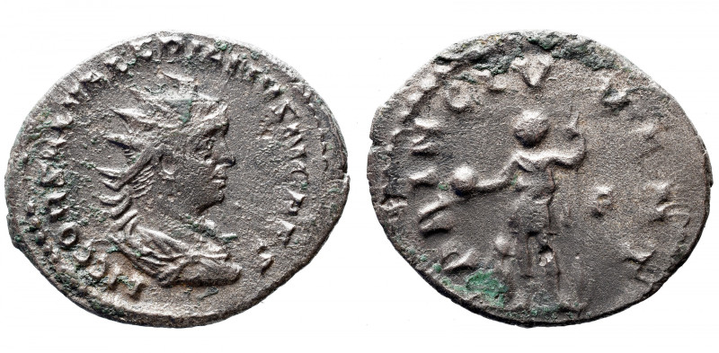 Roman Imperial 
SALONINUS (Caesar, 258-260). Antoninianus. Rome. 
Obv: LIC COR...