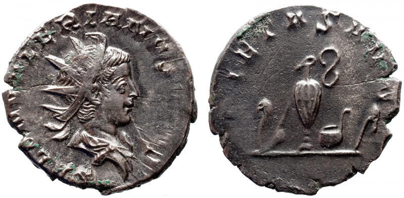 Roman Imperial 
SALONINUS (Caesar, 258-260). Antoninianus. Colonia Agrippinensi...
