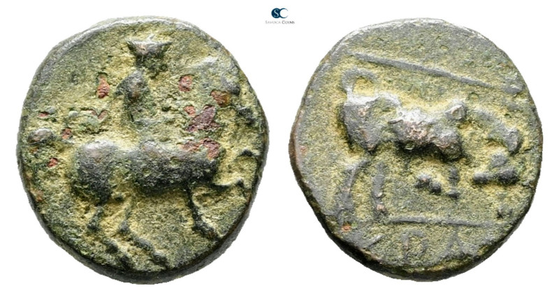 Thessaly. Krannon circa 350-300 BC. 
Bronze Æ

15 mm, 2,46 g



Good Fine...