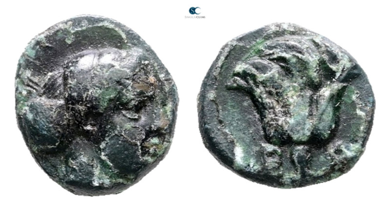 Islands off Caria. Rhodos circa 350-300 BC. 
Bronze Æ

10 mm, 1,23 g



V...