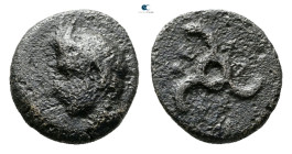 Dynasts of Lycia. Perikles 380-360 BC. 
Bronze Æ

12 mm, 1,59 g



Fine