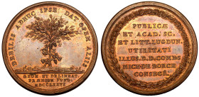 FRANCE. LYON.
Bronze Award Medal, 1776.
From the Acad&eacute;mie des Sciences Belles-Lettres et Arts de Lyon, dedicated to Michael de Borch.
Grape ...