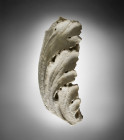 A large marble fragment of an ornamental archtitectural element in form of an acanthus leave. Roman Imperial Period, 1st - 3rd century AD. Excellent w...