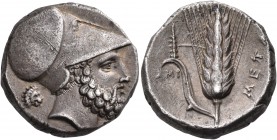 LUCANIA. Metapontum. Circa 340-330 BC. Didrachm or nomos (Silver, 20 mm, 7.94 g, 9 h). Bearded head of Leukippos to right, wearing Corinthian helmet; ...