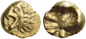 IONIA. Uncertain. Circa 600-550 BC. Tetartemorion or 1/48 Stater (Electrum, 5.5 mm, 0.26 g), Lydo-Milesian standard. Lion's head with open jaws to lef...