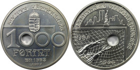 Europäische Münzen und Medaillen, Ungarn / Hungary. Fußball-Weltmeisterschaft 1994, USA. 1000 Forint 1993, Silber. 0.94 OZ. KM 706. Stempelglanz
