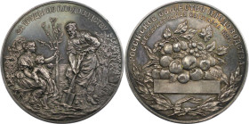 Russische Münzen und Medaillen, Alexander III. (1881-1894). Silbermedaille 1894, von S. Vazhenin. Preismedaille des Landwirtschaftsministeriums. 93,52...